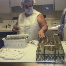 Woman working in breastmilk pasteurization lab