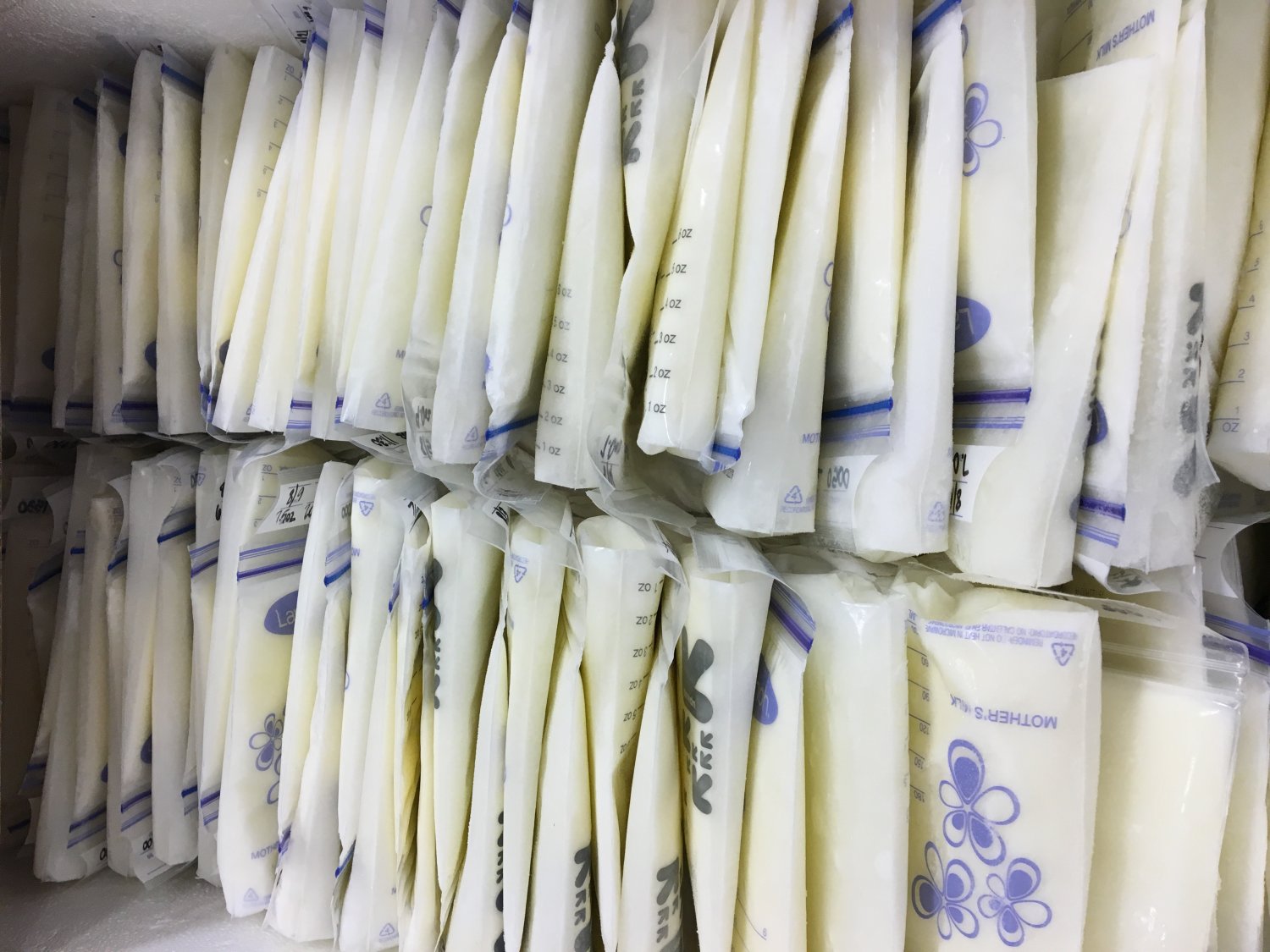 Two rows of frozen breastmilk bags