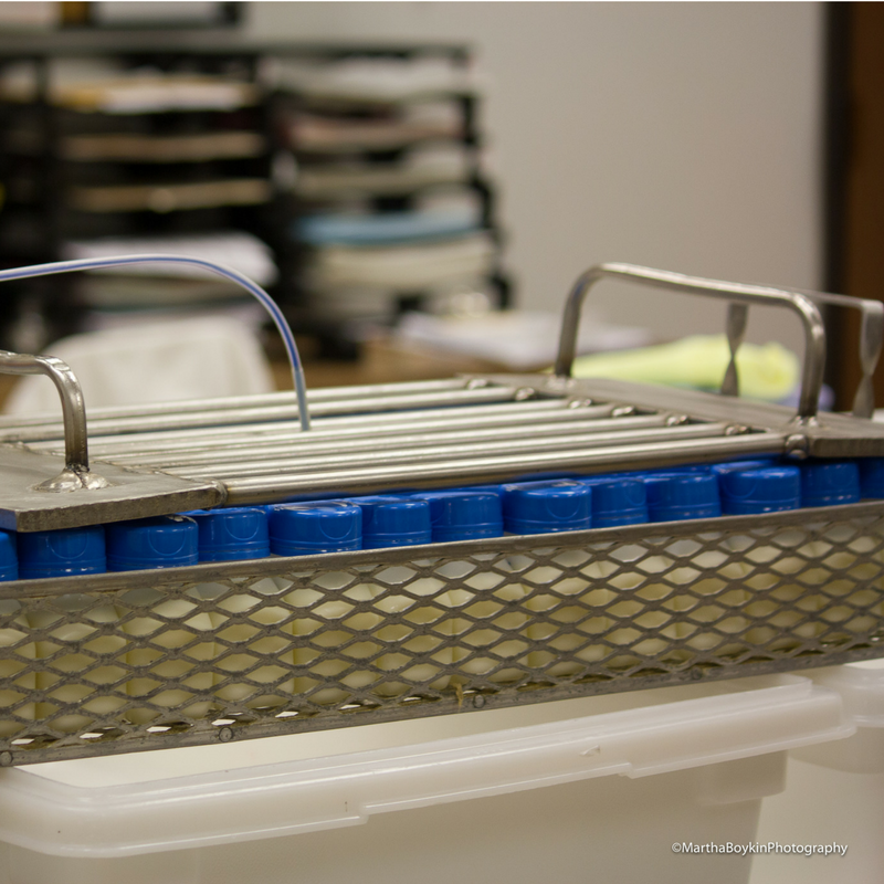 Tray of 100mL bottles just removed from a shaking water bath