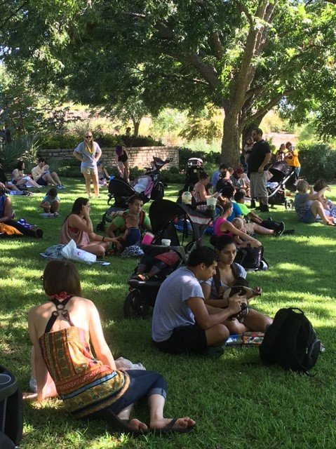 Families sitting on a shaded lawn